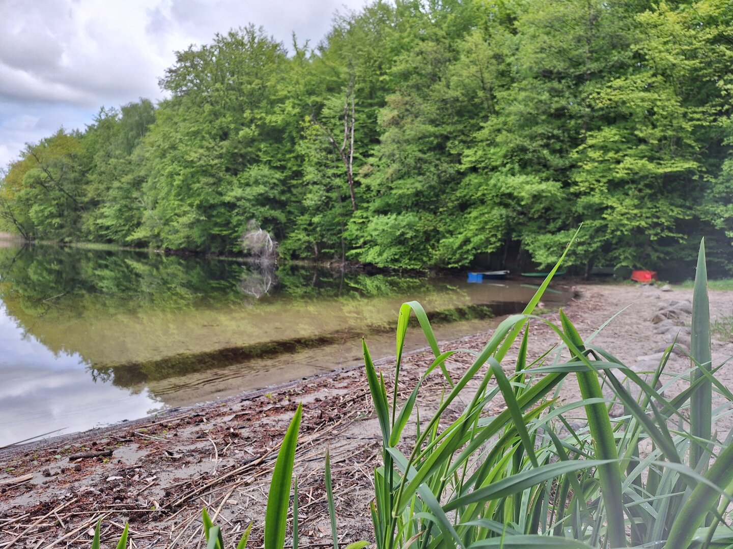 m-doradcy Marek Bucholc - Zdjęcie 1